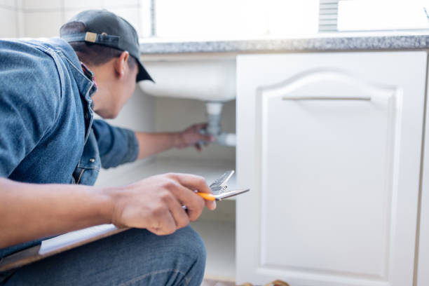 Best Sprinkler Systems  in Wyanet, IL