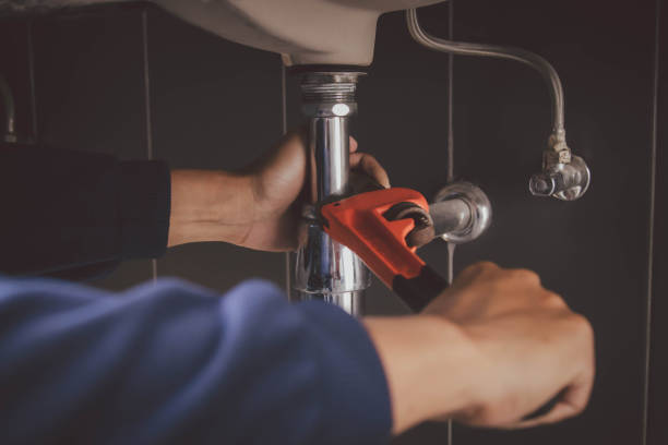 Best Plumbing Services Near Me  in Wyanet, IL